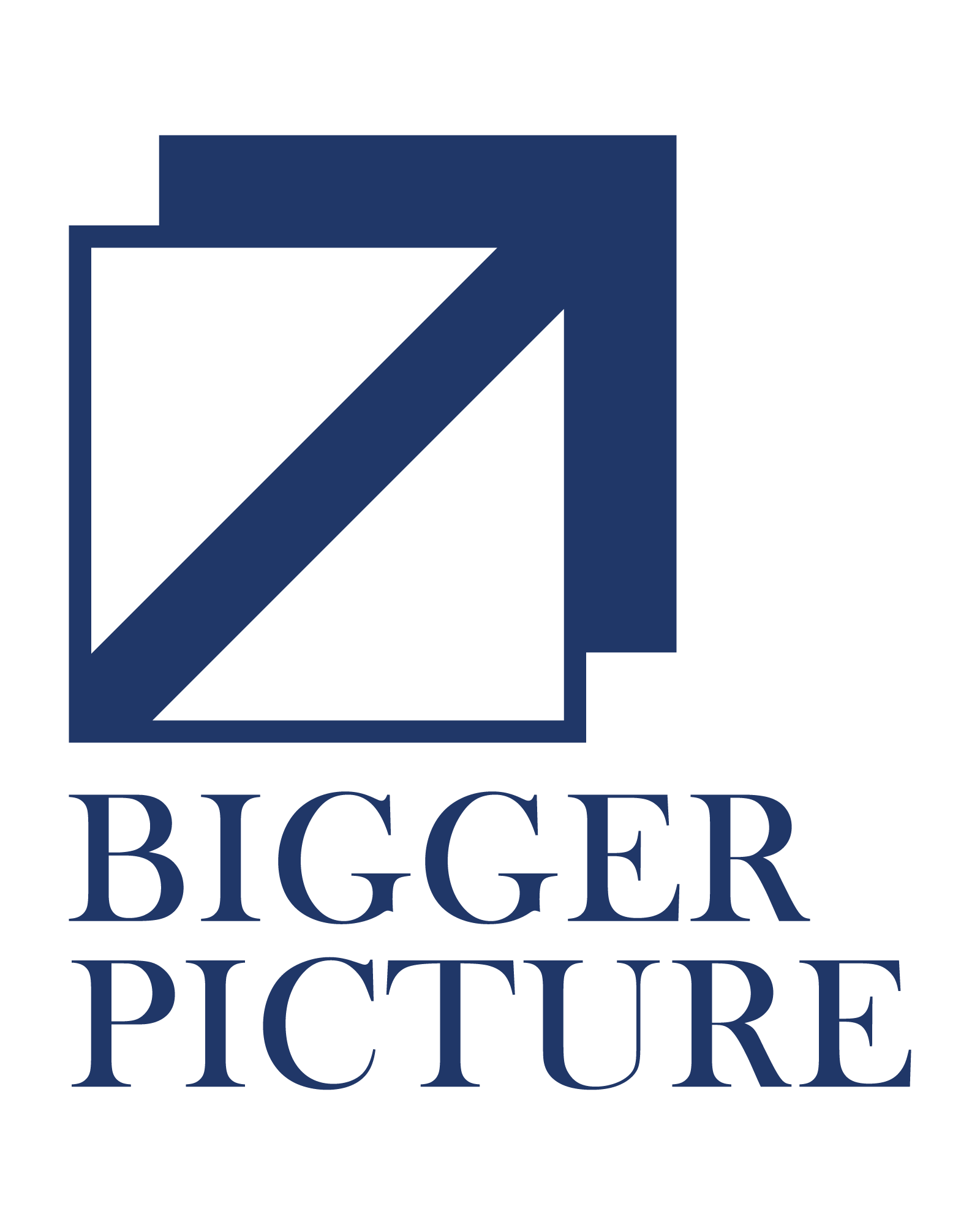 BIGGER PICTURE CONSULTING Logo